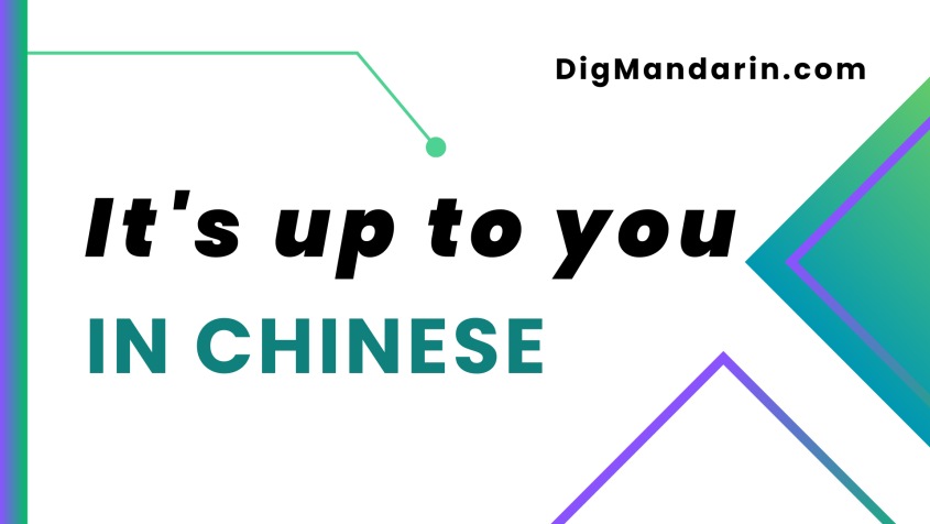 Various ways to say “It’s up to you” in Chinese