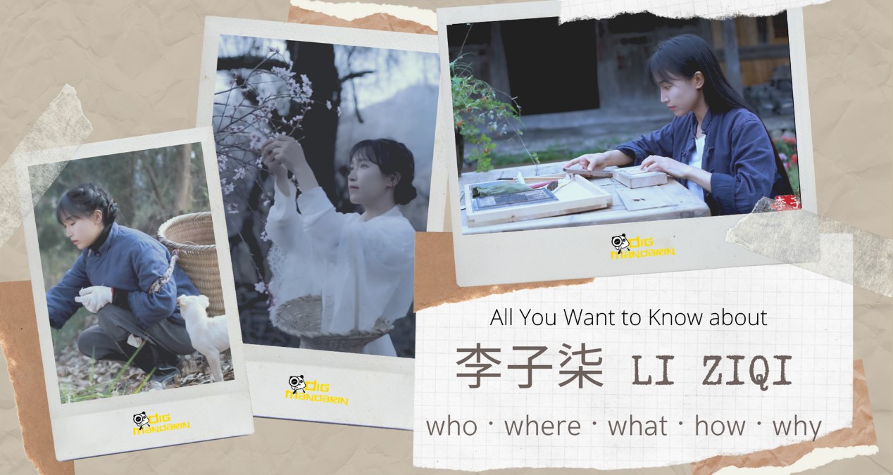 All You Want to Know about Li Ziqi (李子柒)