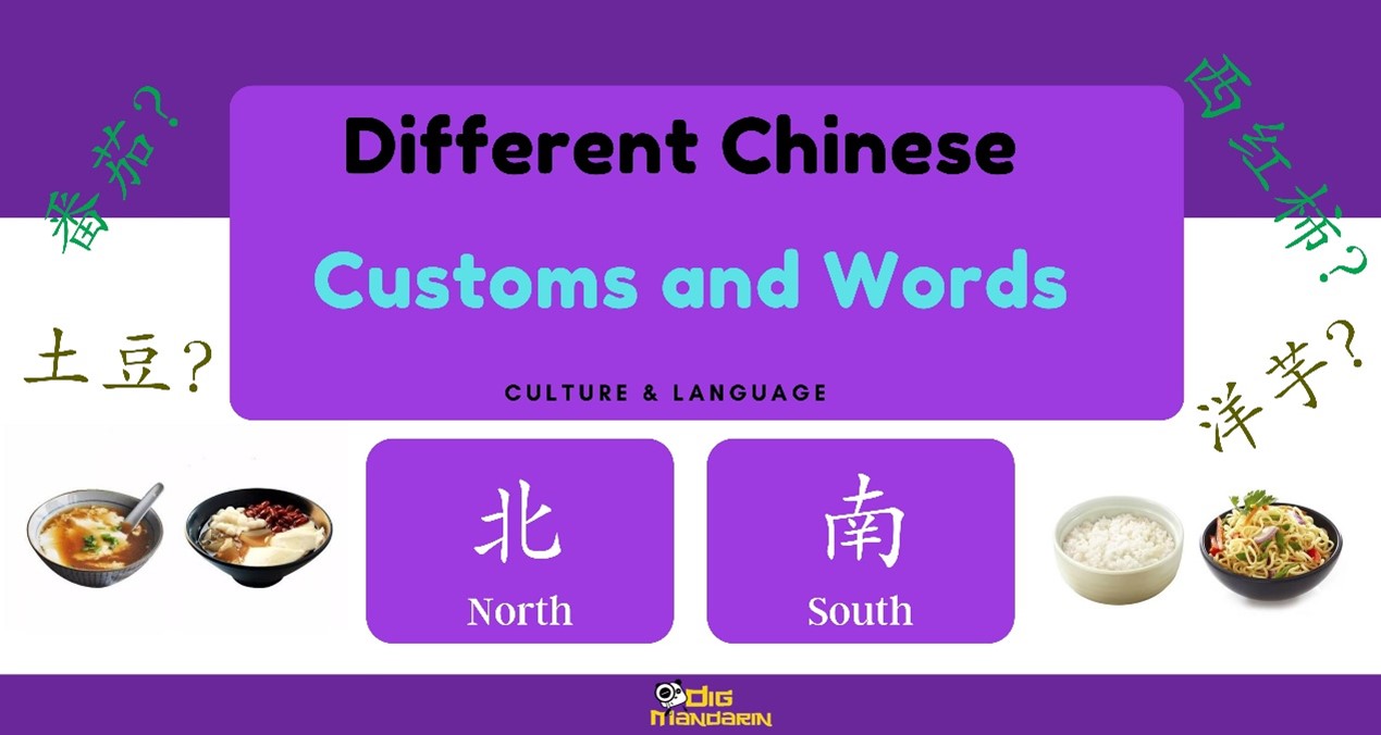 Cultural Contrast: Northern vs. Southern Chinese Cuisine and Vocabulary