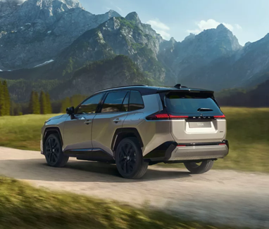 RAV4 GRIGIO 1